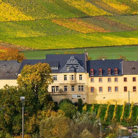 Wohnen Auf Dem Weingut - Klein Und Fein - Wengertssube Apartment Maring-Noviand Ngoại thất bức ảnh