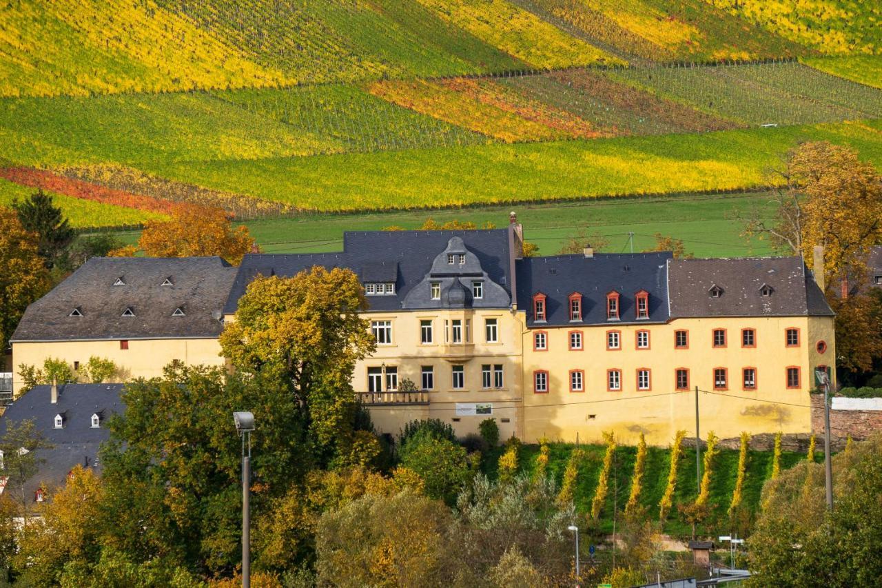 Wohnen Auf Dem Weingut - Klein Und Fein - Wengertssube Apartment Maring-Noviand Ngoại thất bức ảnh
